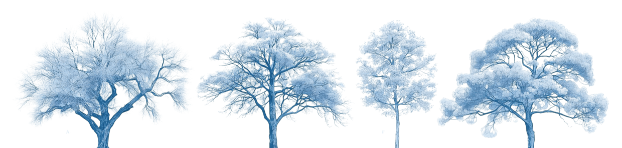 Untitled design - 2025-11-19T113401-873