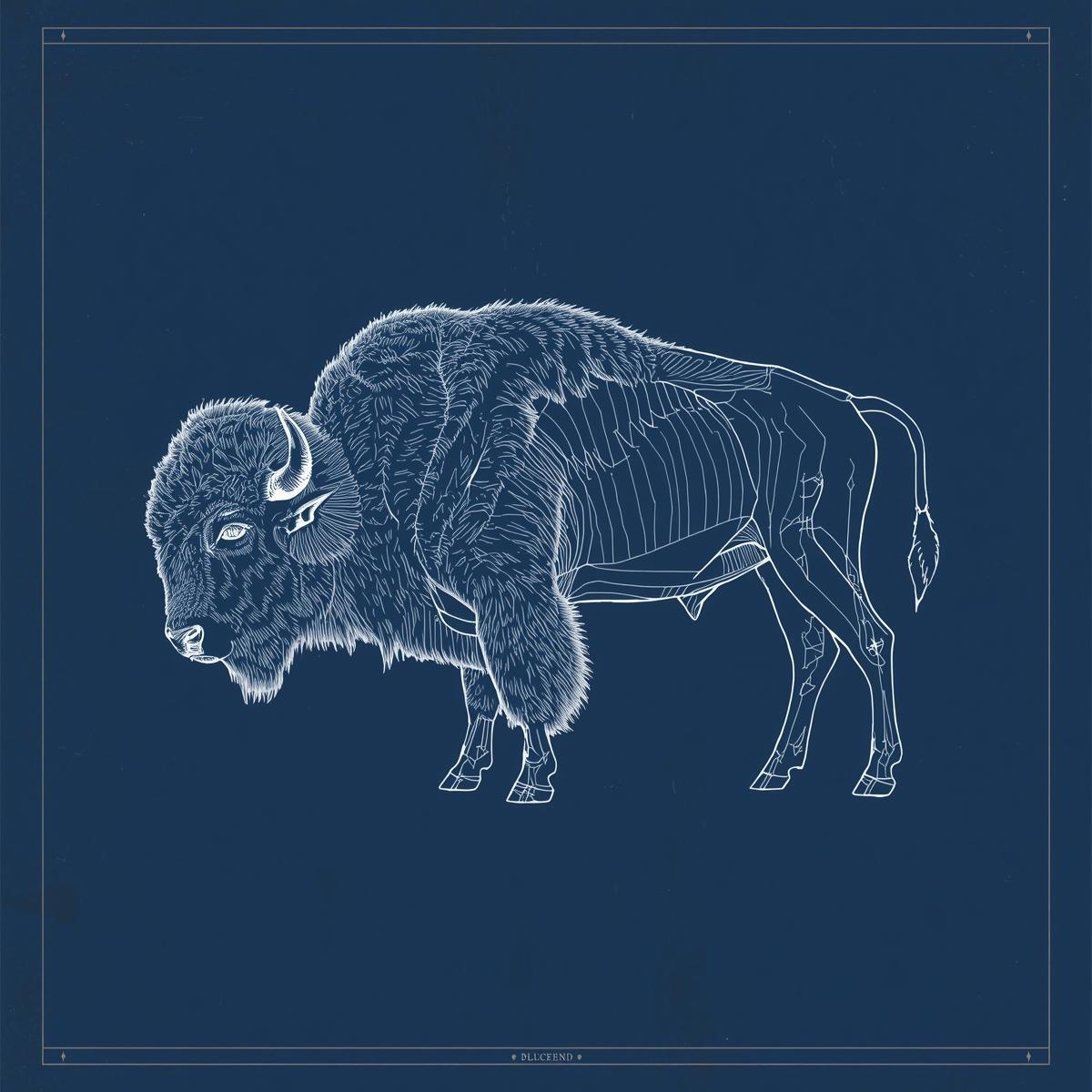 buffalo in blueprint style, dark blue background, no lines, no words